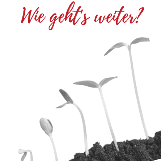 Onlinefit Souveraen